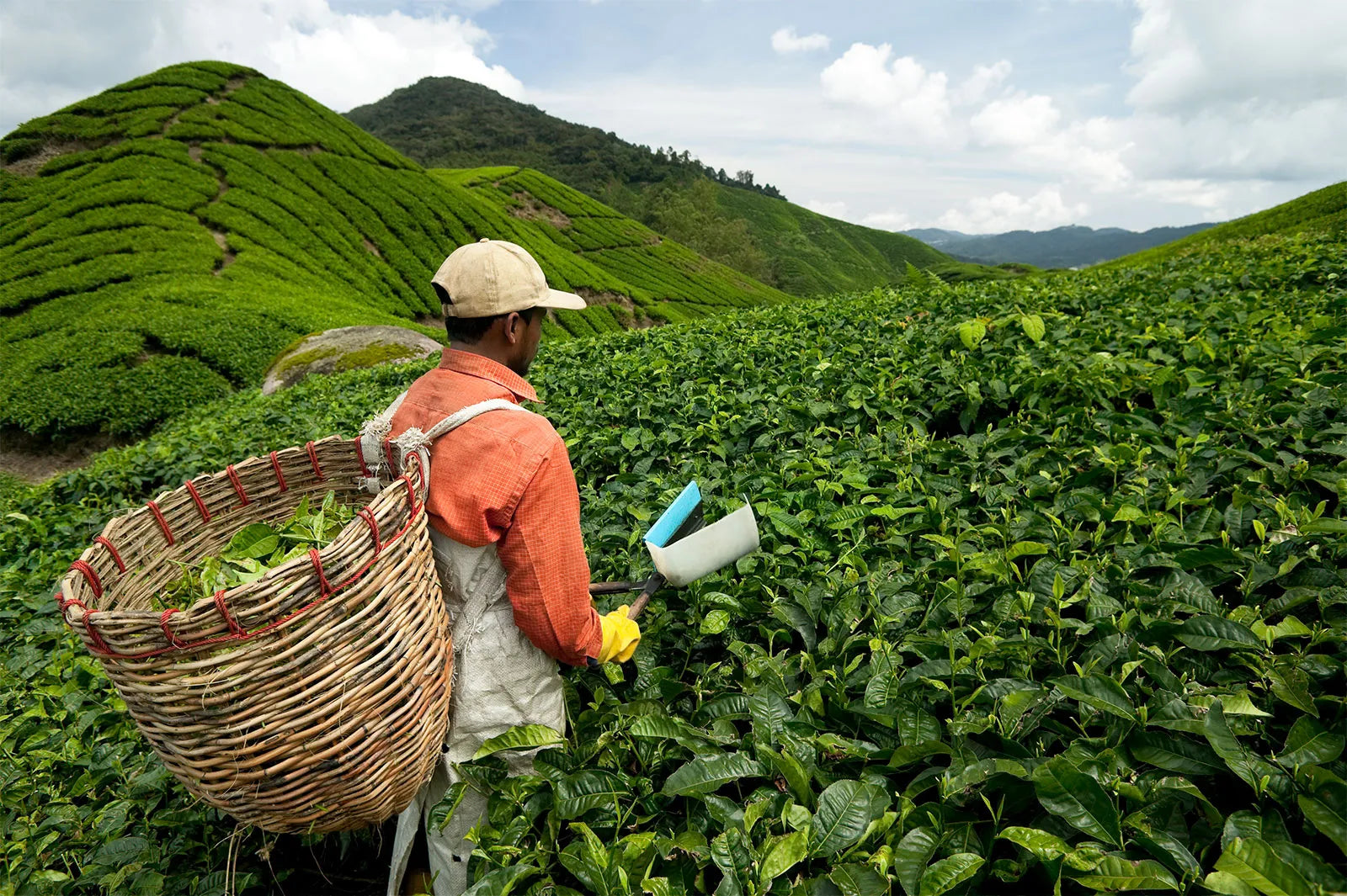 Brewing Change: Supporting THIRST and ActionAid